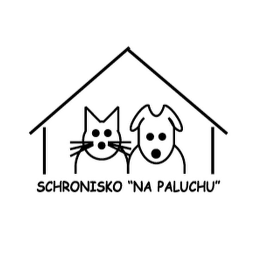 Paluchowo